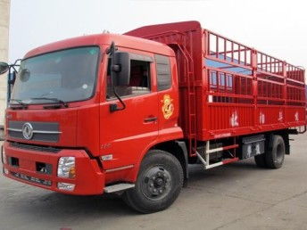 圖 青島到樂山物流公司 城陽區(qū)鼎盛泰貨運部 青島物流